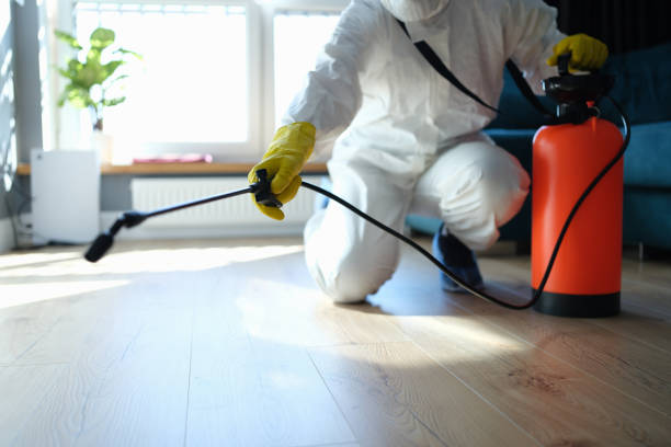 Reliable Odor Removal contractor in Prairie Grove, AR by Crime Scene Cleaner Online